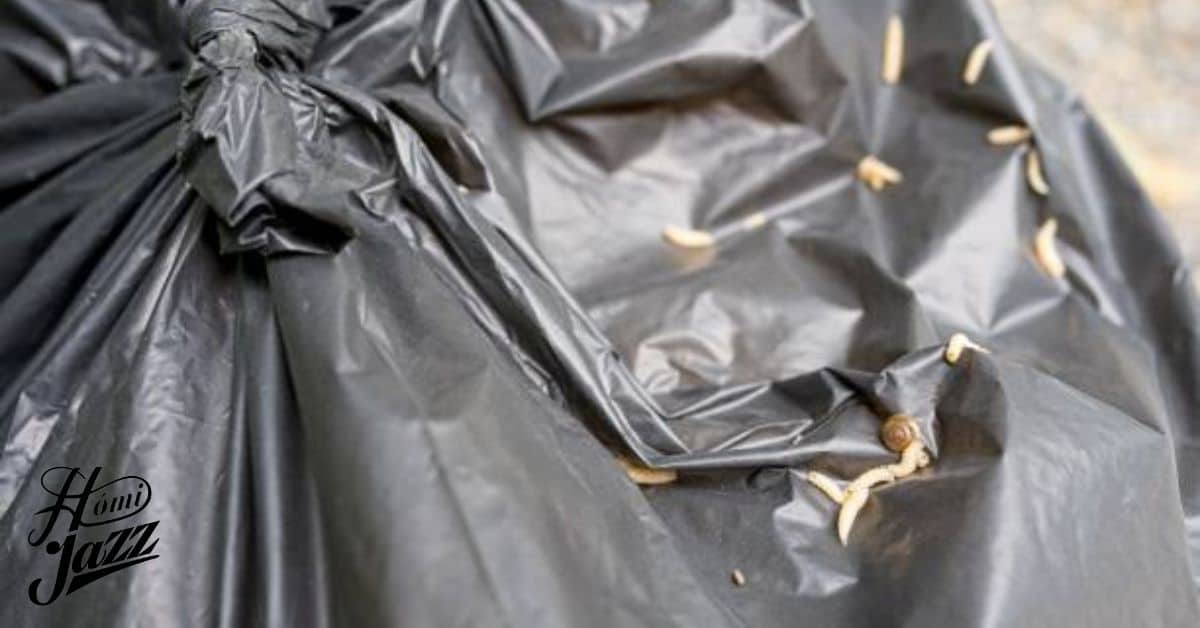 Can Maggots Eat Through Plastic Garbage Bags The Truth Revealed