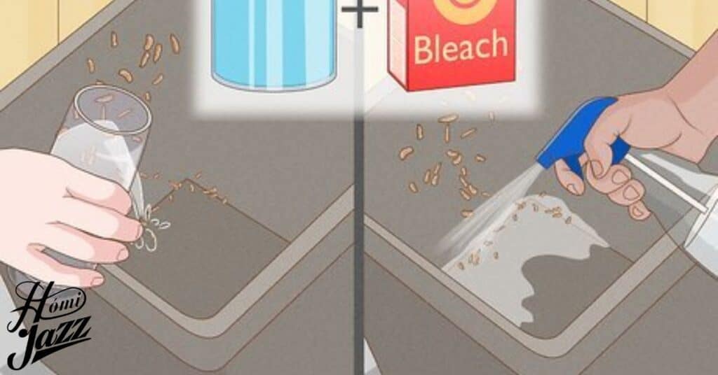 Can bleach kill maggots