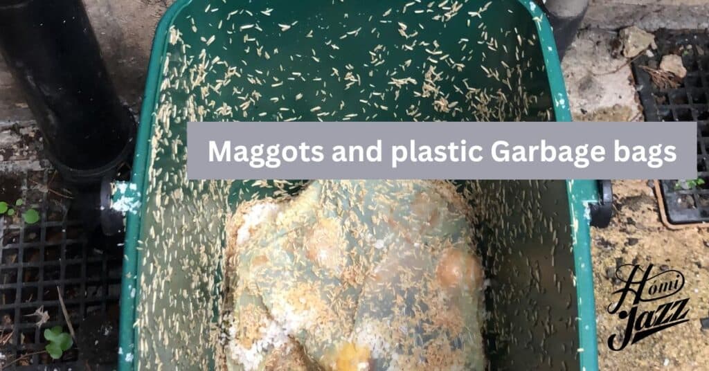 The Truth Maggots and Plastic Garbage Bags